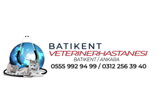 batikent veteriner ekibimiz