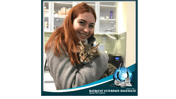batikent veteriner kedi genclik hastaligini yendi